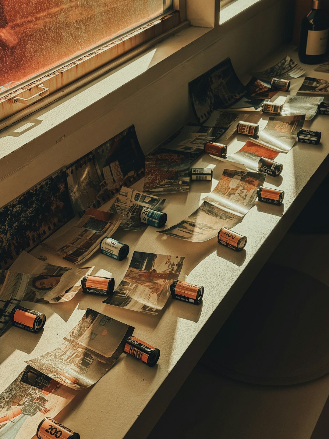 Rows of printed photographs and negatives on a light table