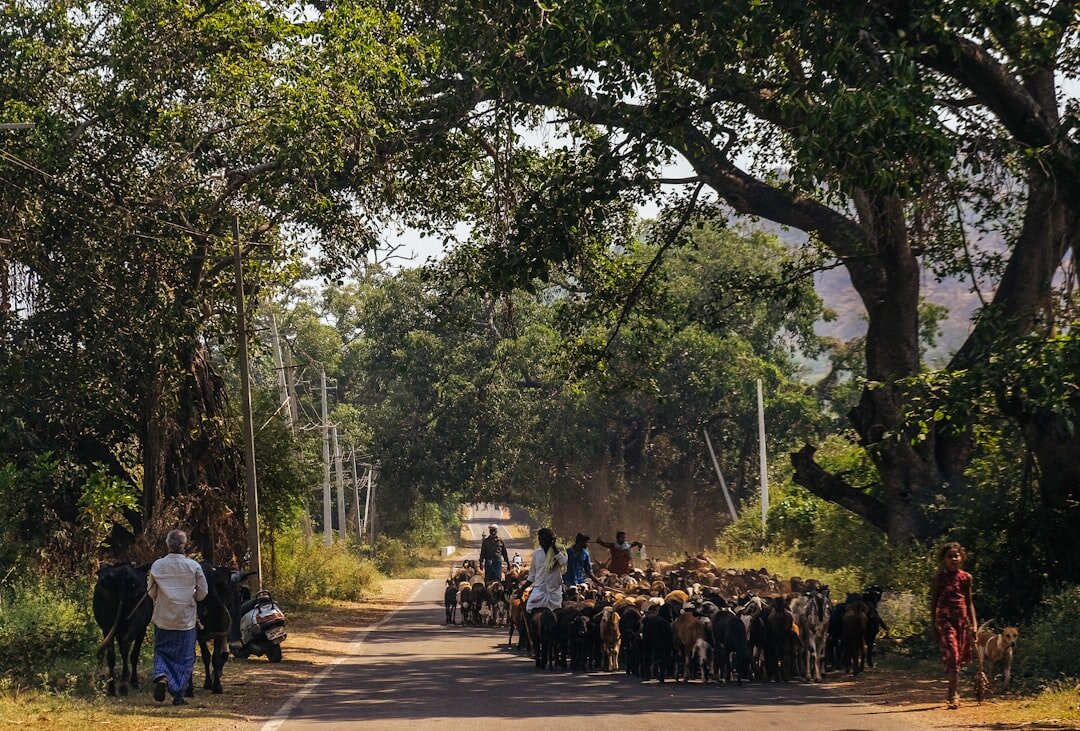 community gathering in village